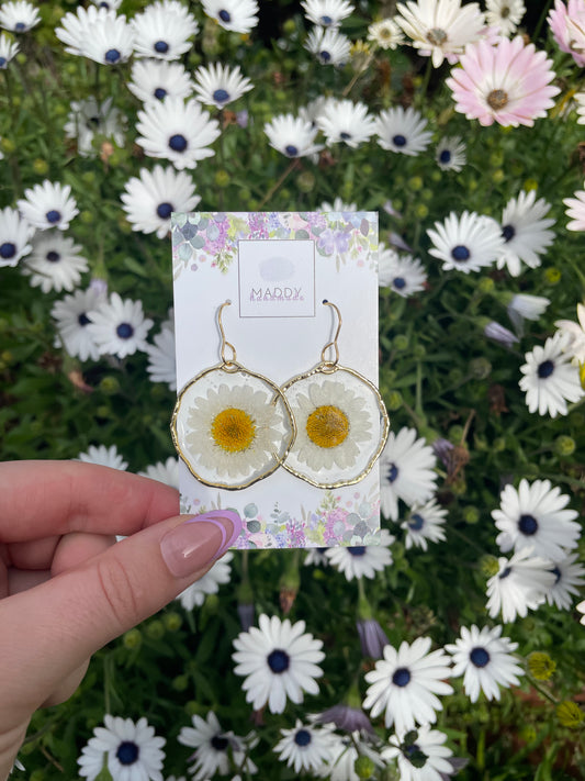 Statement Earrings - White Daisies with Hook