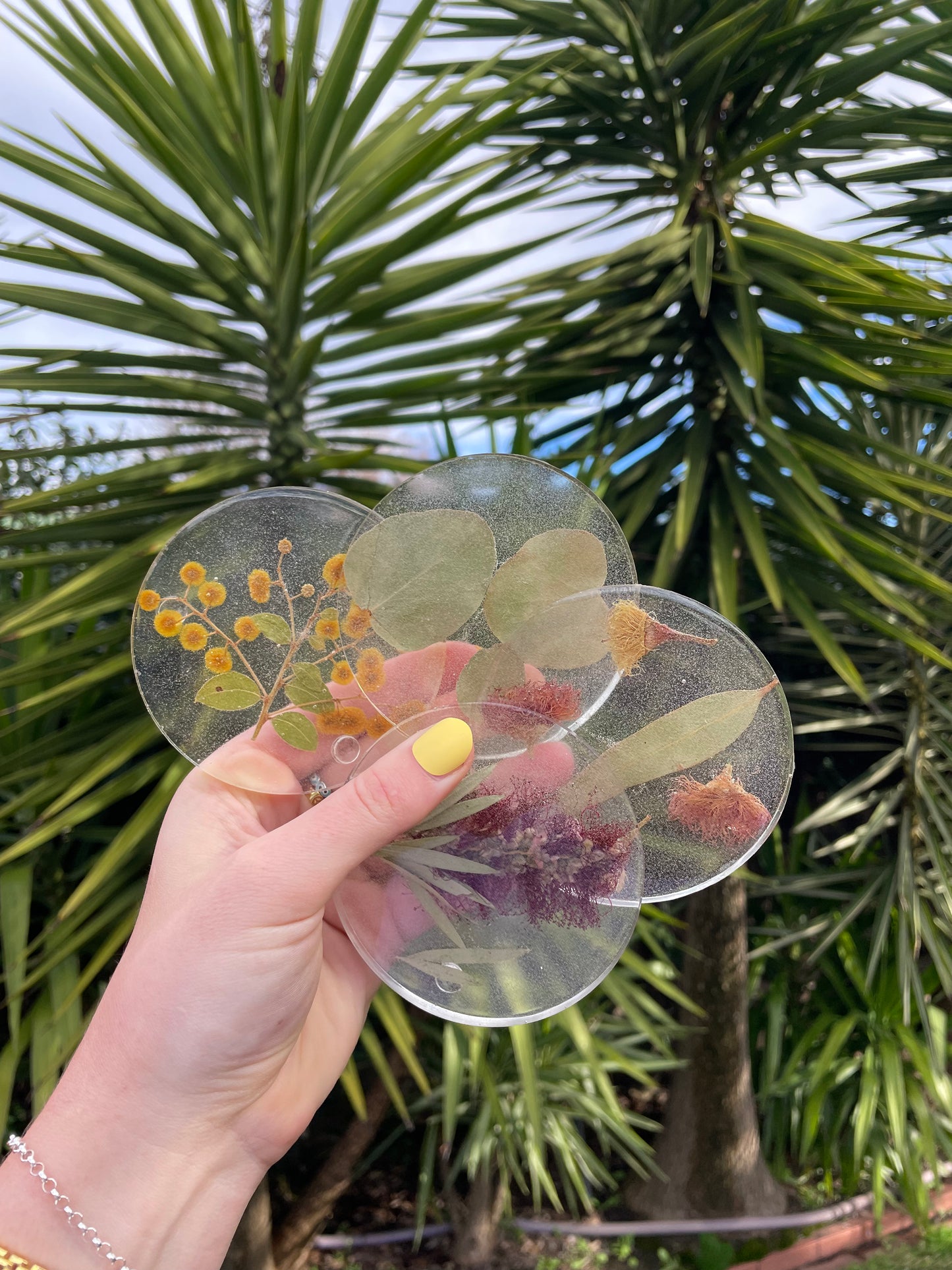 Coasters - Set of 4 - Australian Flora Mix