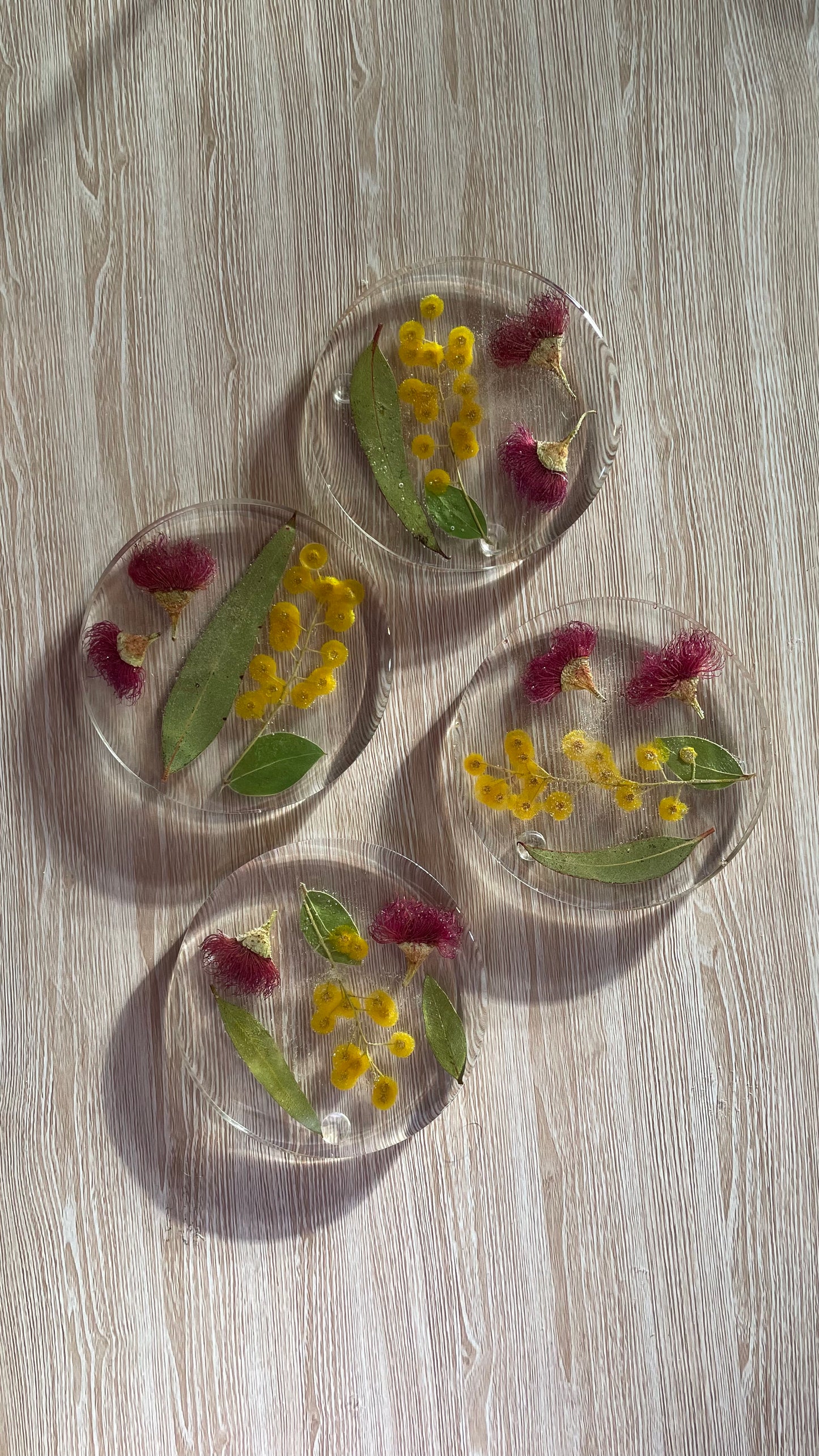 Coasters - Set of 4 Australian Flora