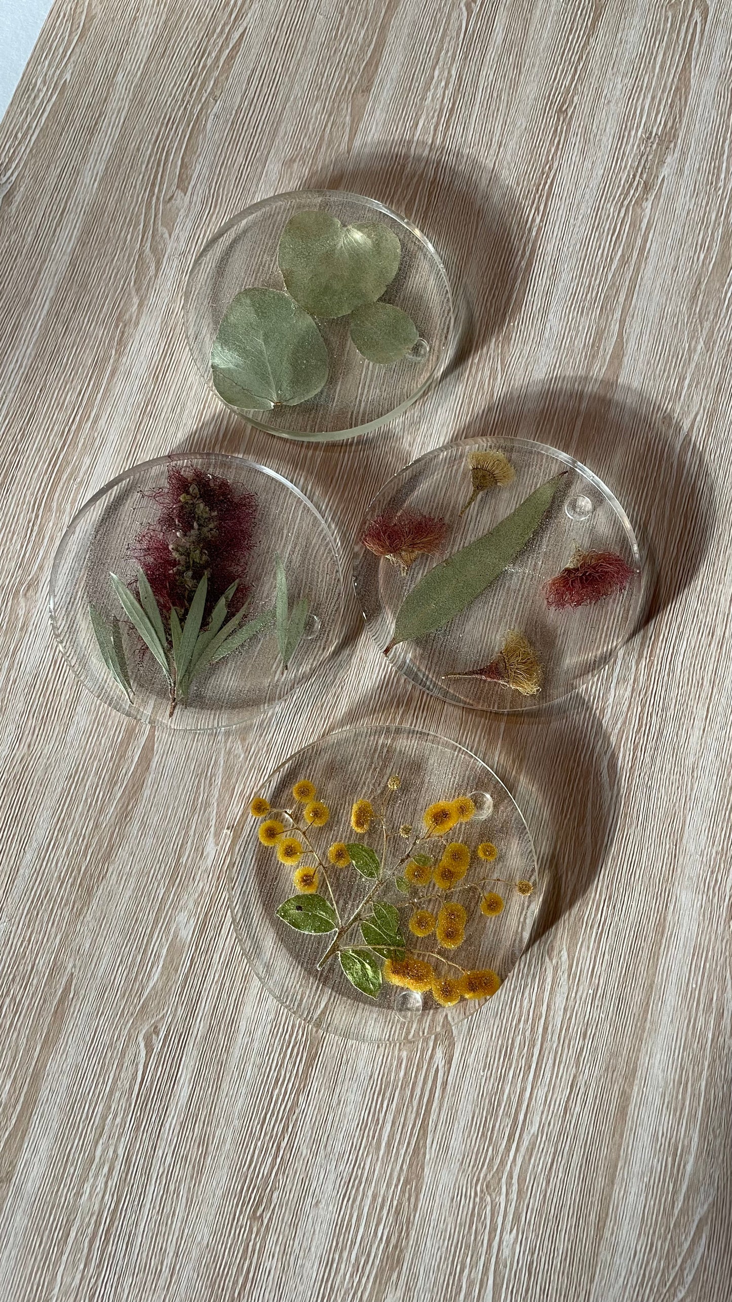 Coasters - Set of 4 - Australian Flora Mix