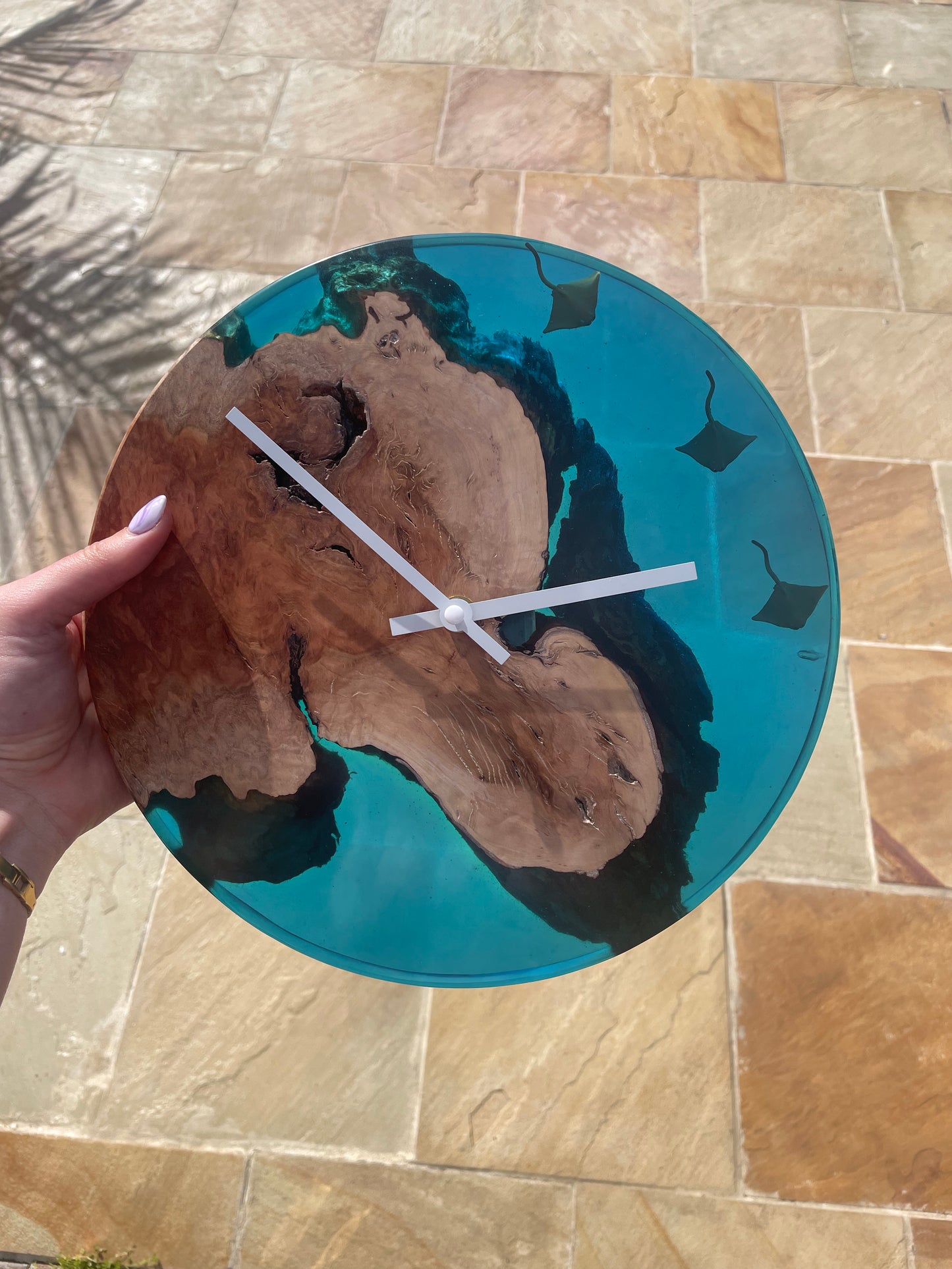 Ocean Clock - Stingray